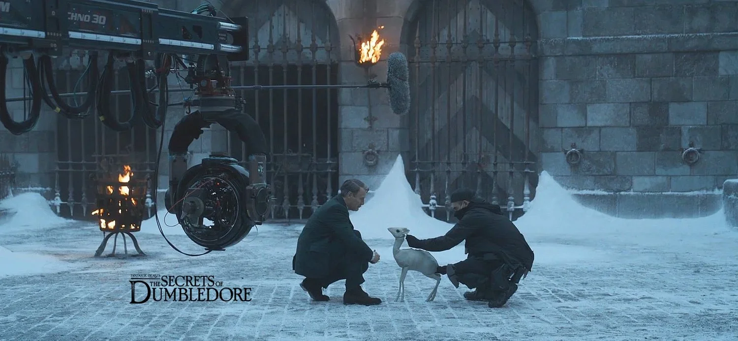 Qilin VFX puppet makers for The Secrets of Dumbledore  - film puppet makers Stitches and Glue