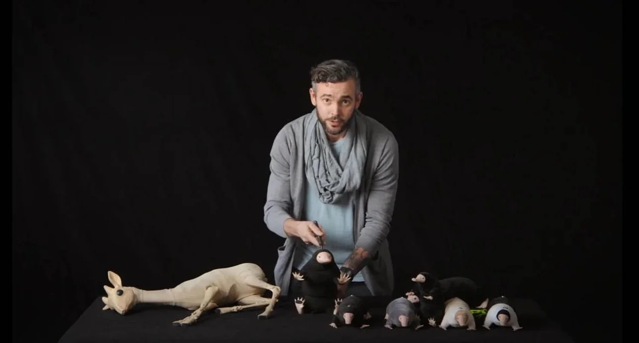 VFX Puppet for Fantastic Beasts: The Secrets of Dumbledore, created by Stitches and Glue puppet-makers