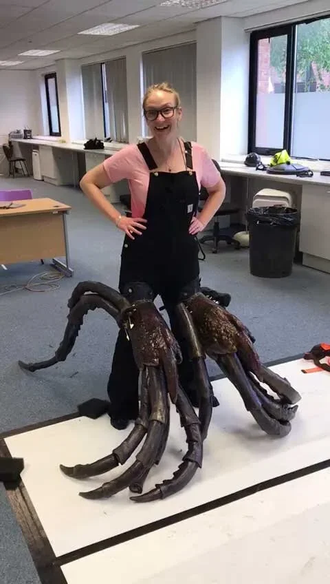 Becky Johnson, creative director at puppet-makers Stitches &amp; Glue