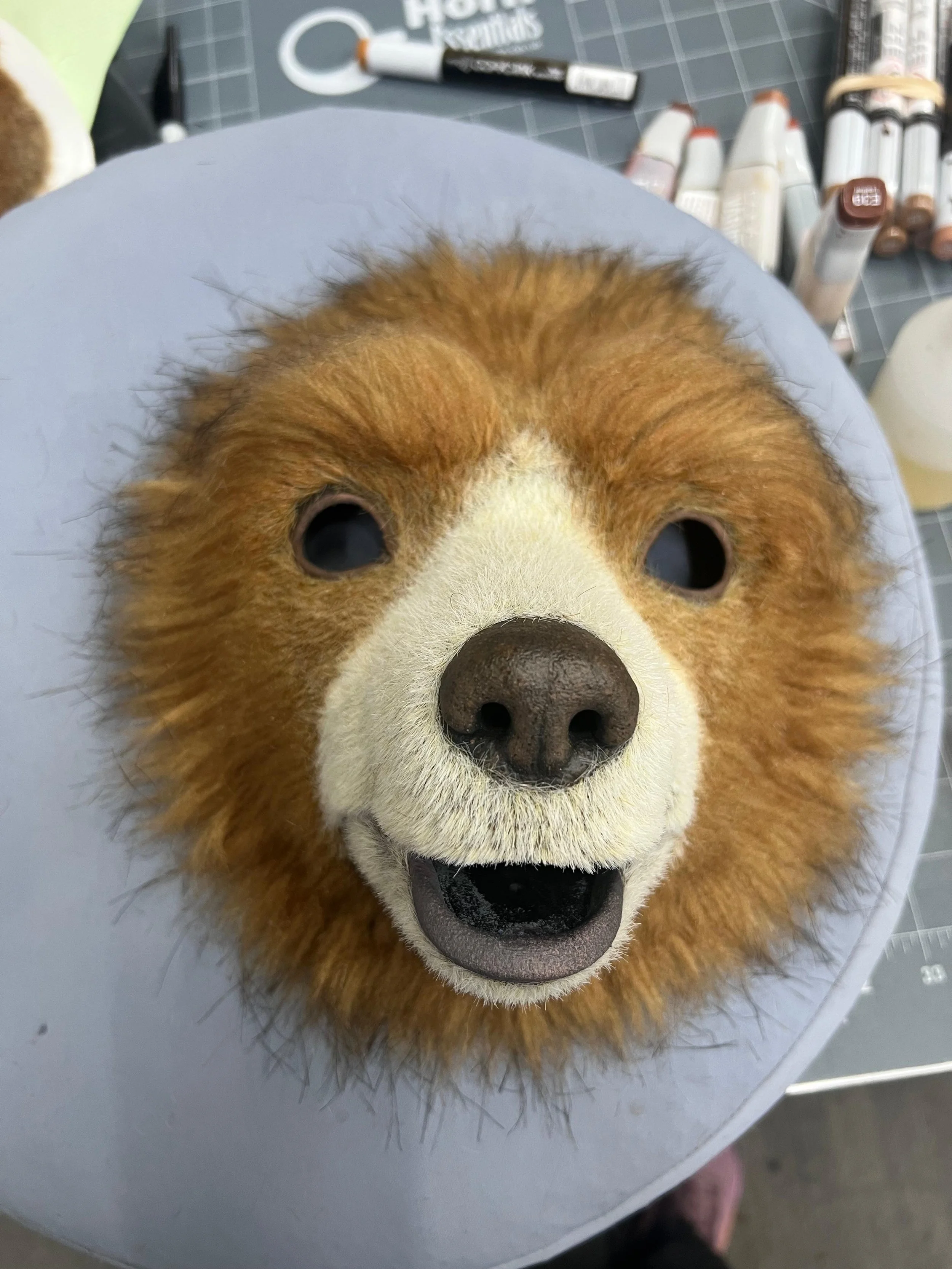 Stitches and Glue Paddington face plate.jpeg