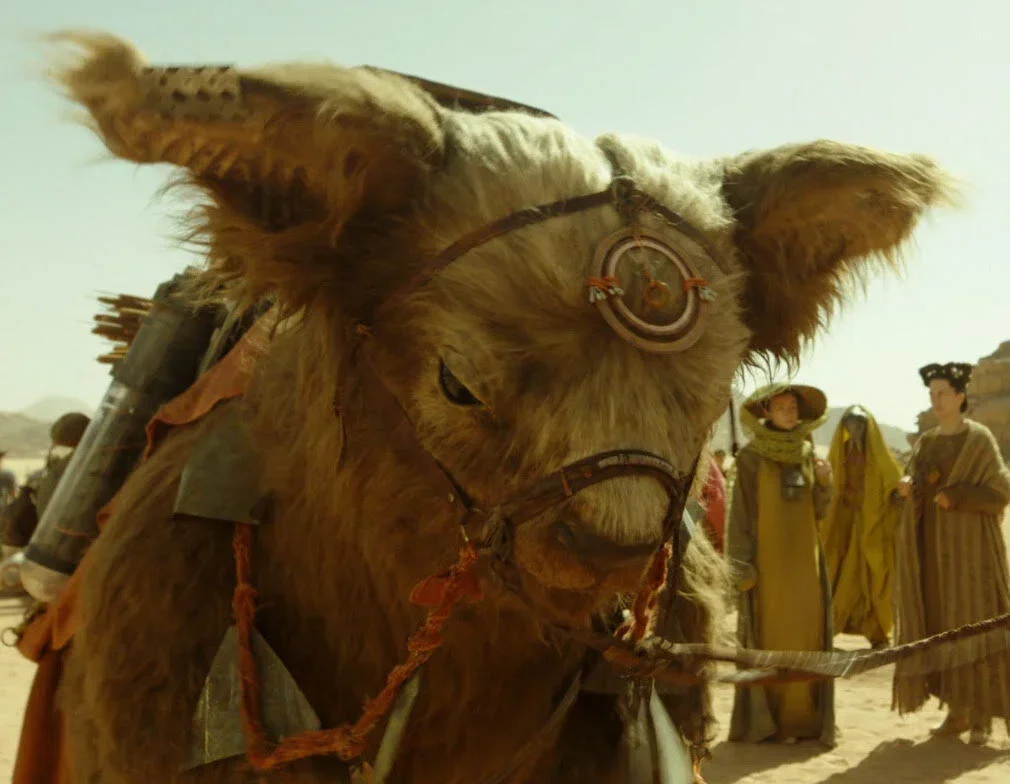 Furry creature costume made for Star Wars – creature costume makers Stitches and Glue