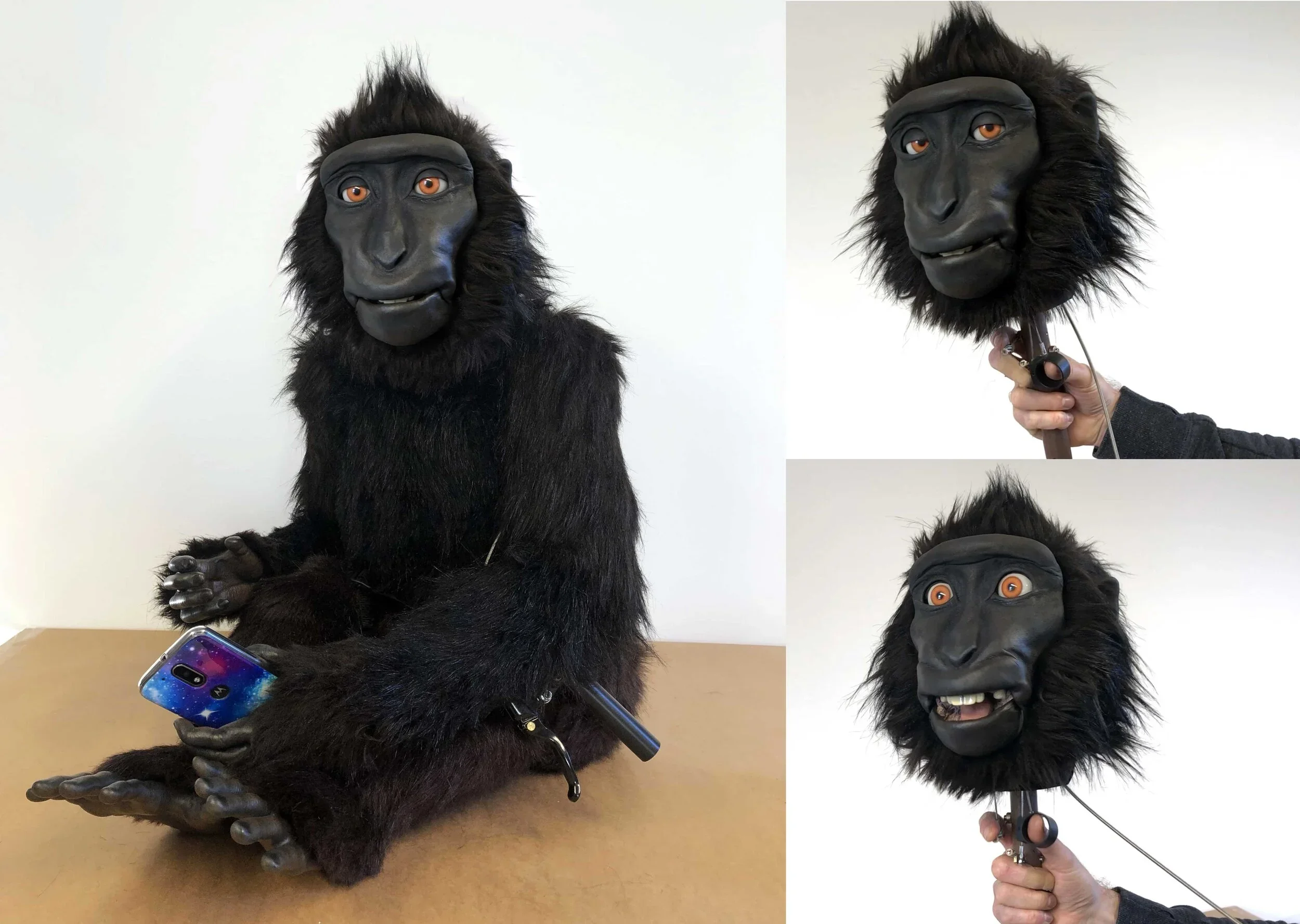 Macaque vent puppet with mechanised facial features, created by Stitches and Glue