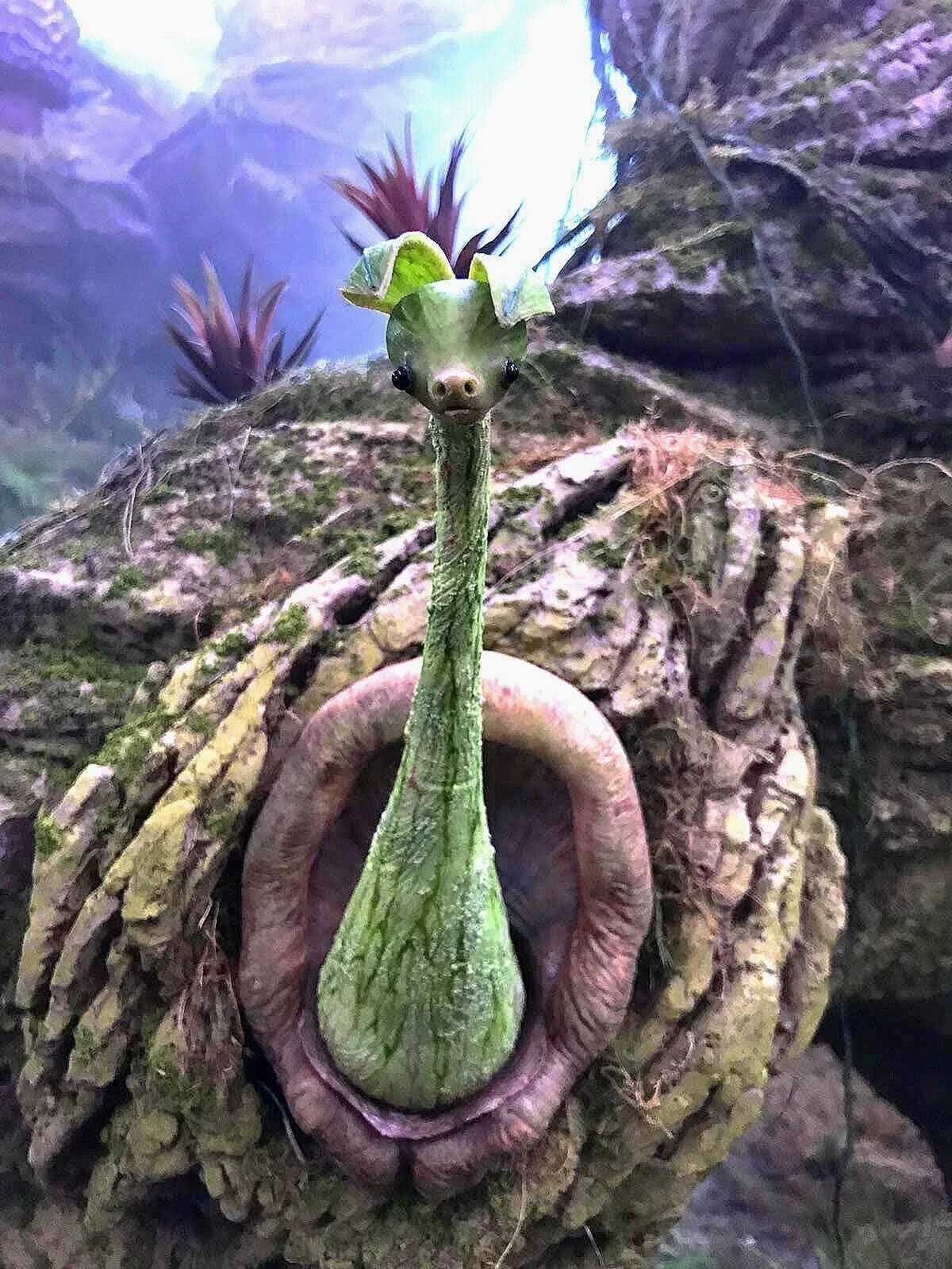 Creature frush pogg puppet, made for The Dark Crystal by puppet-makers Stitches and Glue