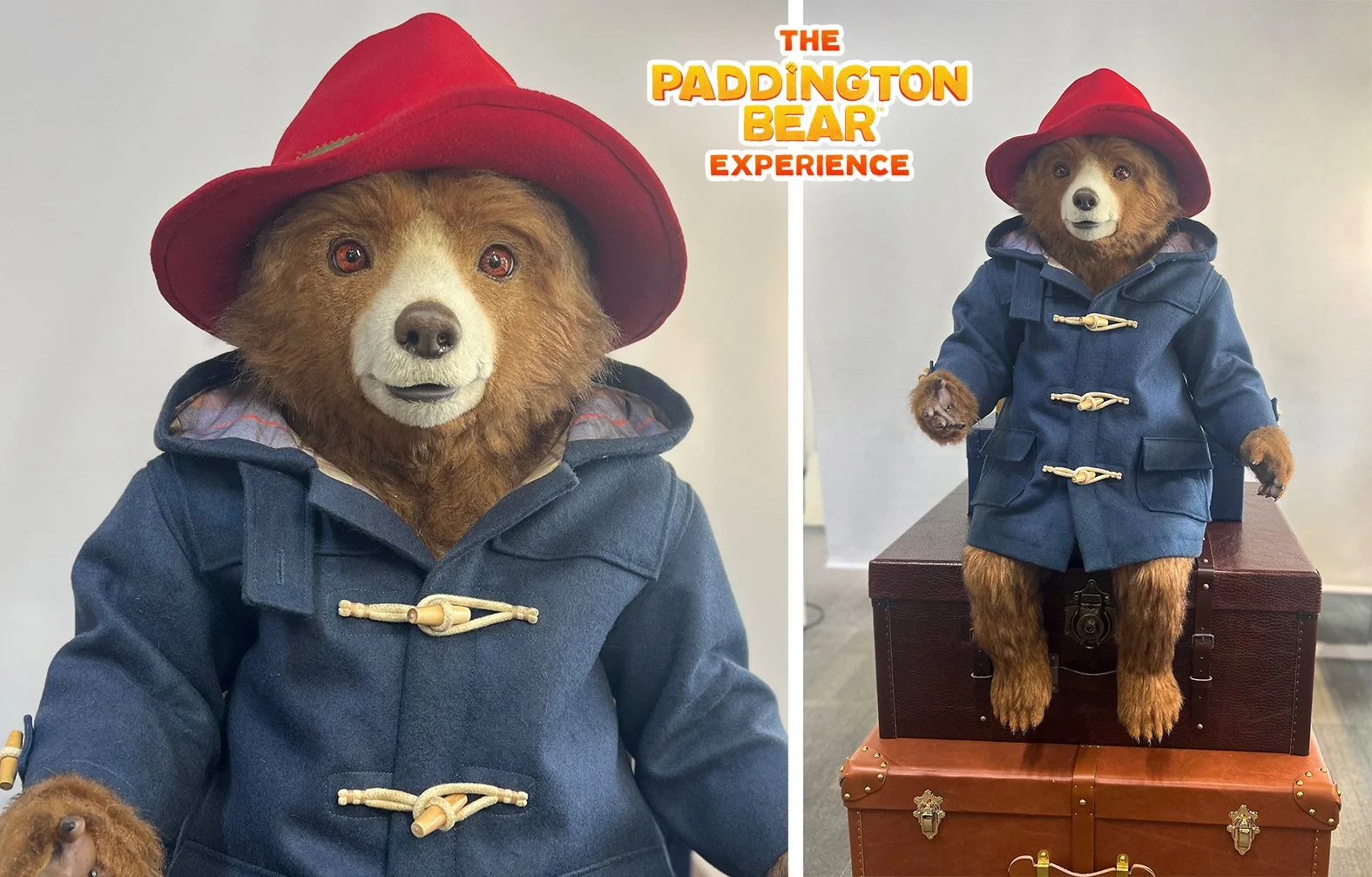Animatronic Paddington Bear Puppet makers