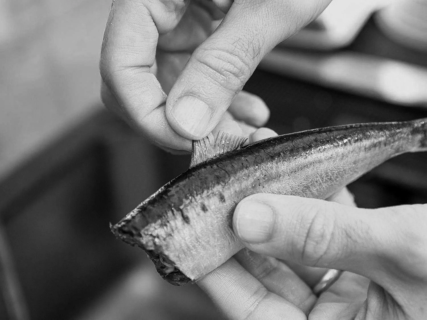 Each fish must be taken individually and carefully cleaned by hand with a knife: the innards removed, fins trimmed, and for our BONELESS edition, even the bones are taken out by hand.