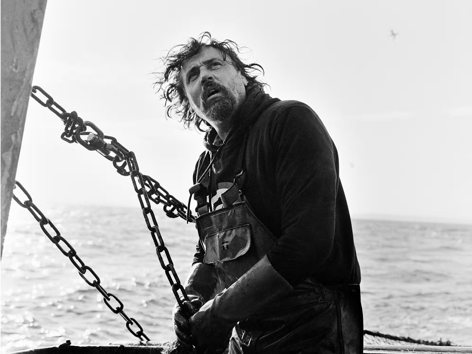 We work only with local fishermen who use the traditional seine method - a gentle way of fishing with nets that protects other sea life and follows all rules for sustainable fishing.