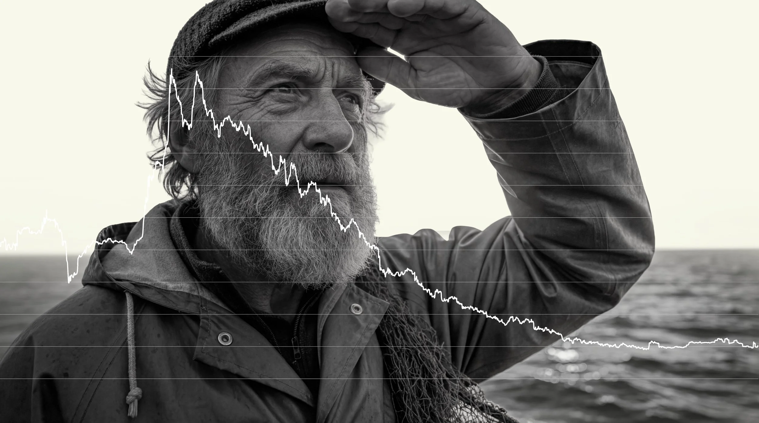 What if the fish does not return? Strategical alignment for future growth