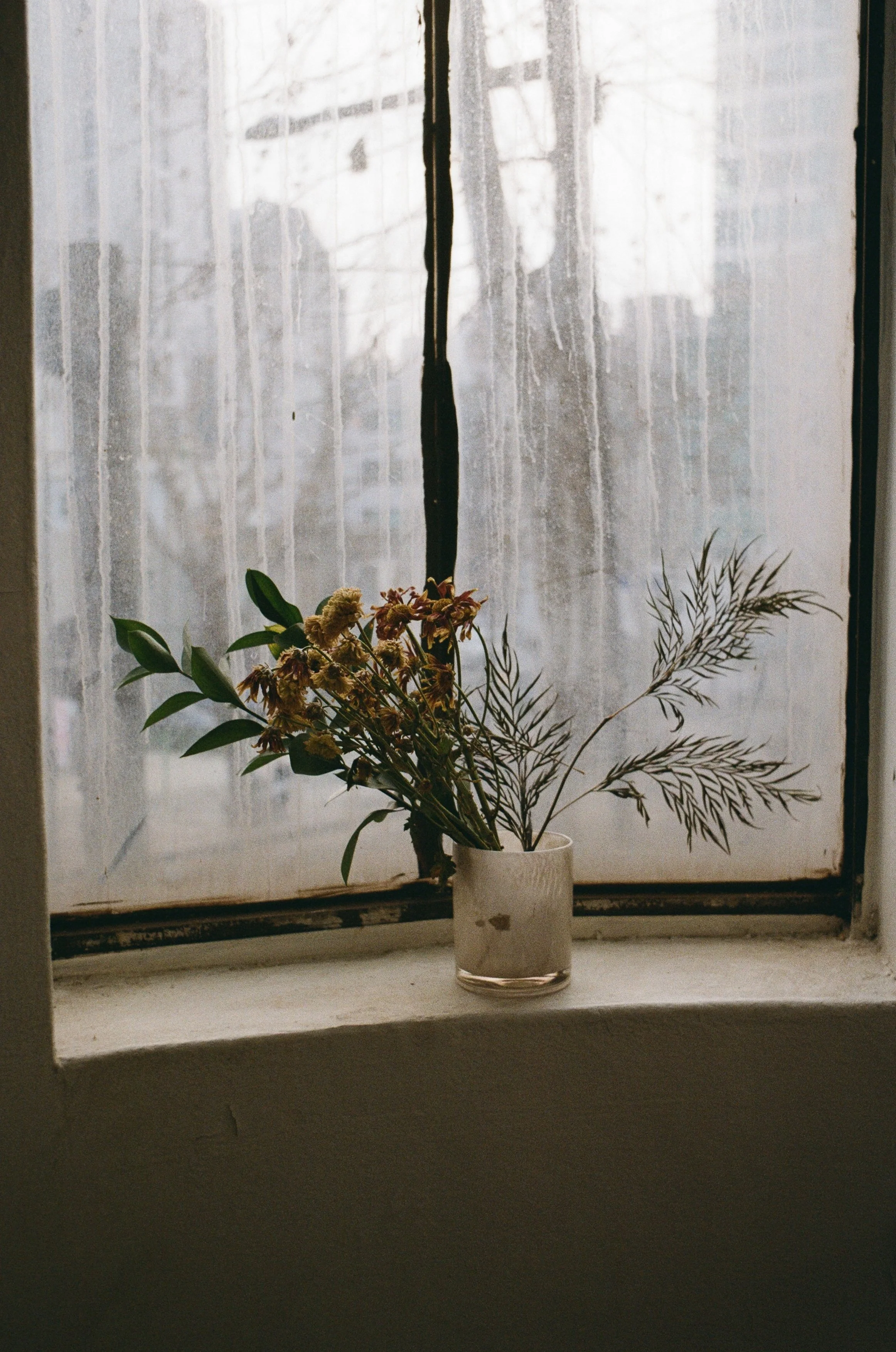 Ihwa-dong, Seoul, 2026