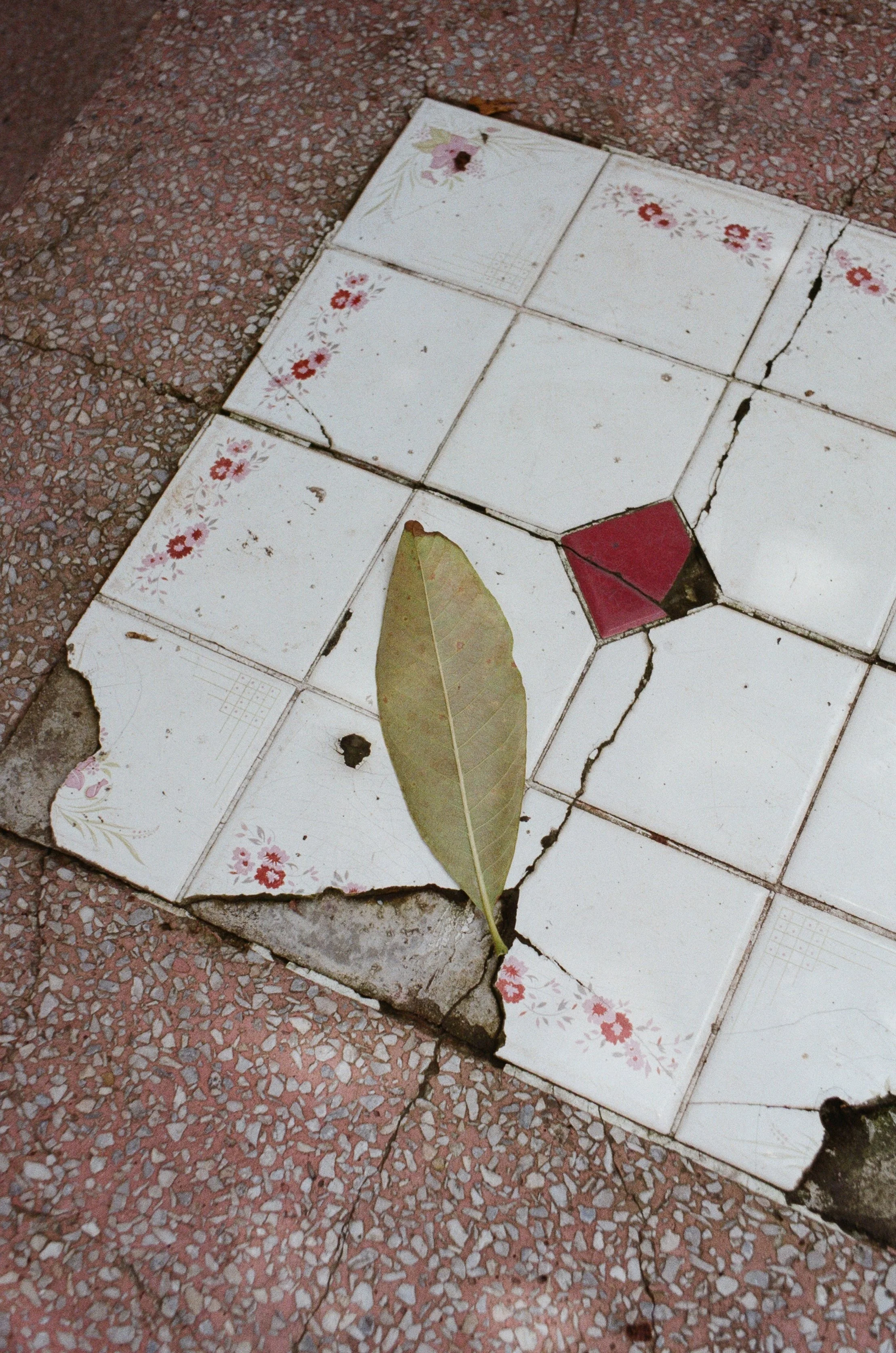 Wat Phra Singh, Chiang Mai, Thailand, 2025