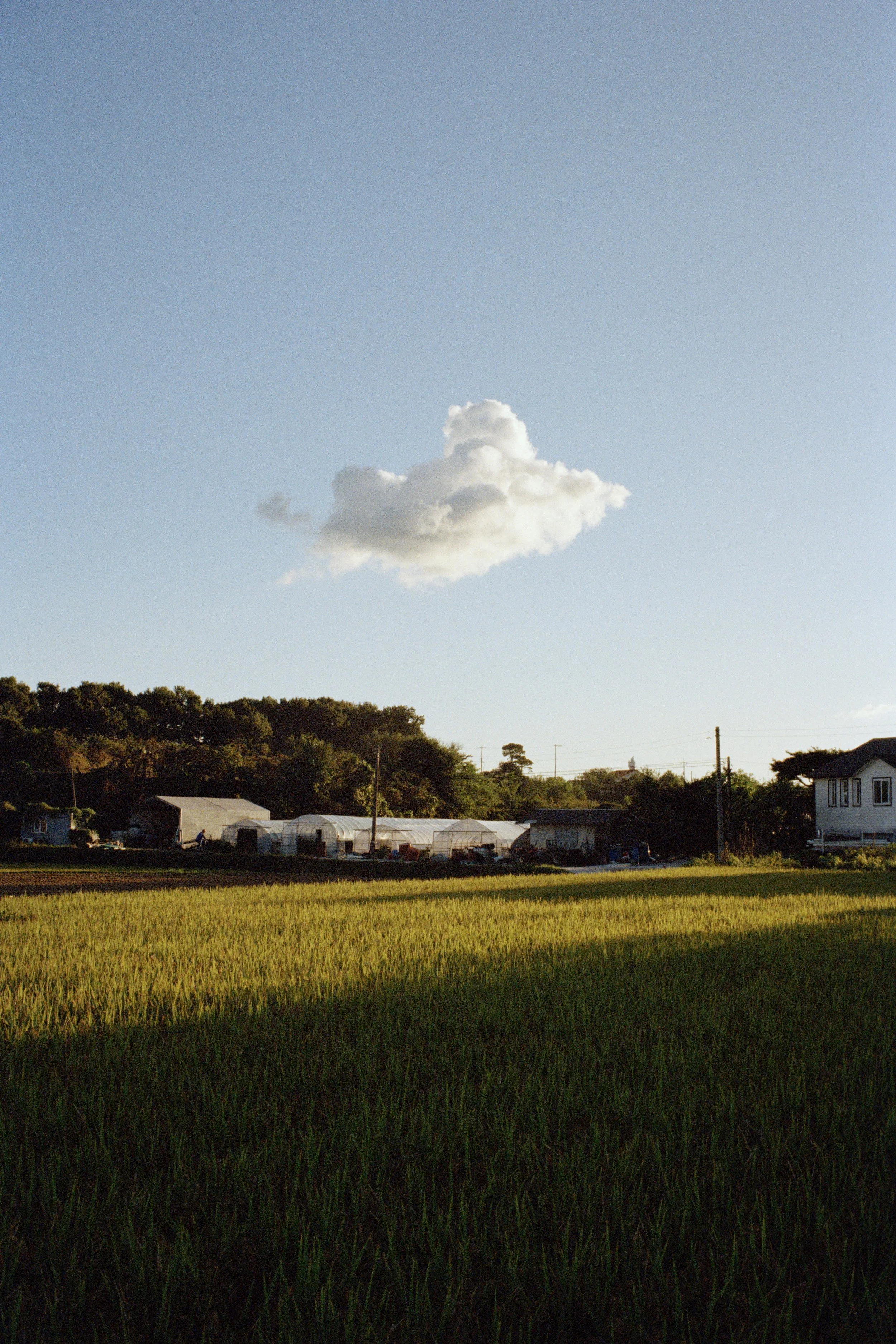 Jukdang-ri, Icheon-si, Gyeonggi-do, 2025