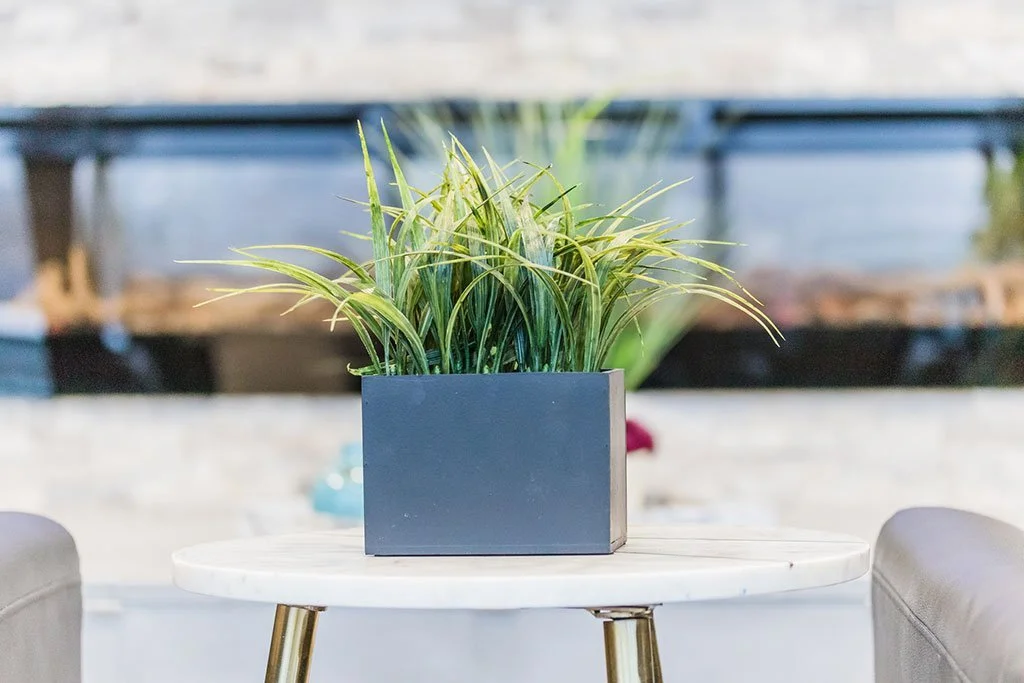 Potted grass in a gray planter on a marble table