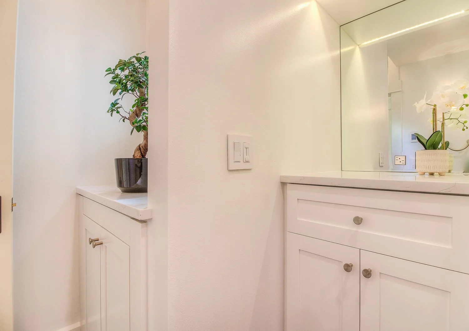 White vanity with potted plant and mirror