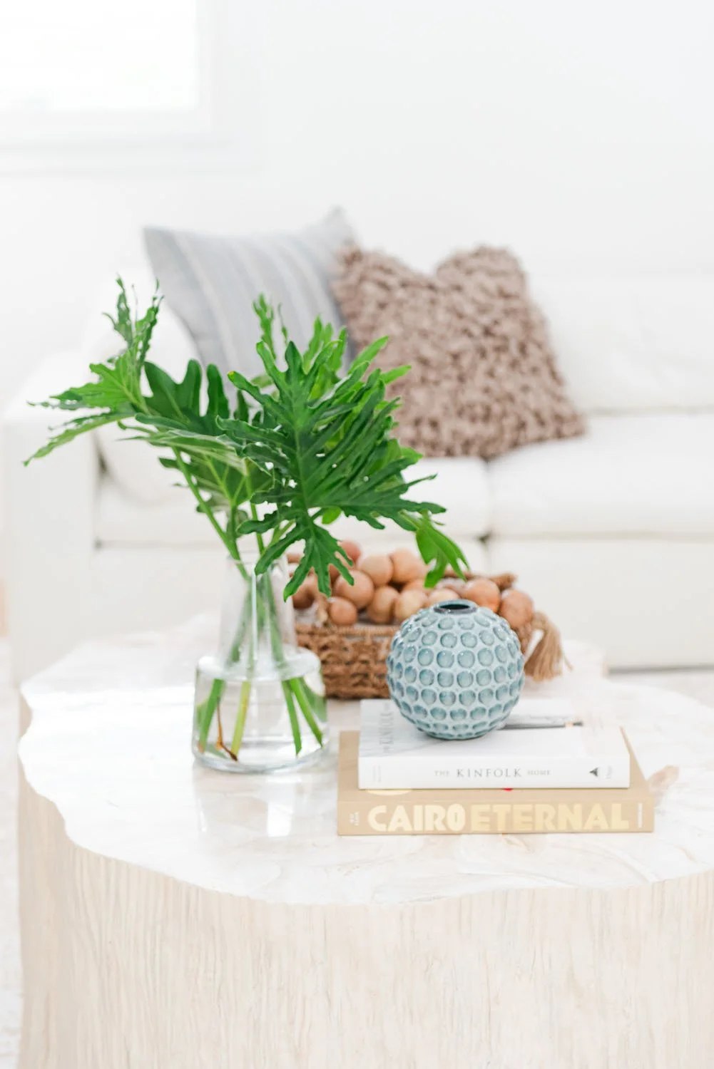 Coffee table with plant in glass vase and patterned pillows