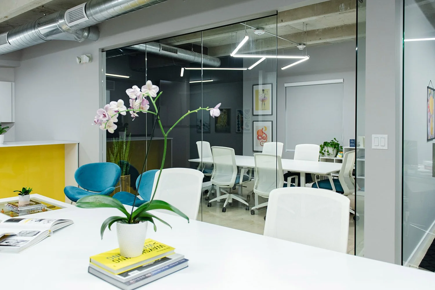 Orchid on a white table facing a glass-walled conference room