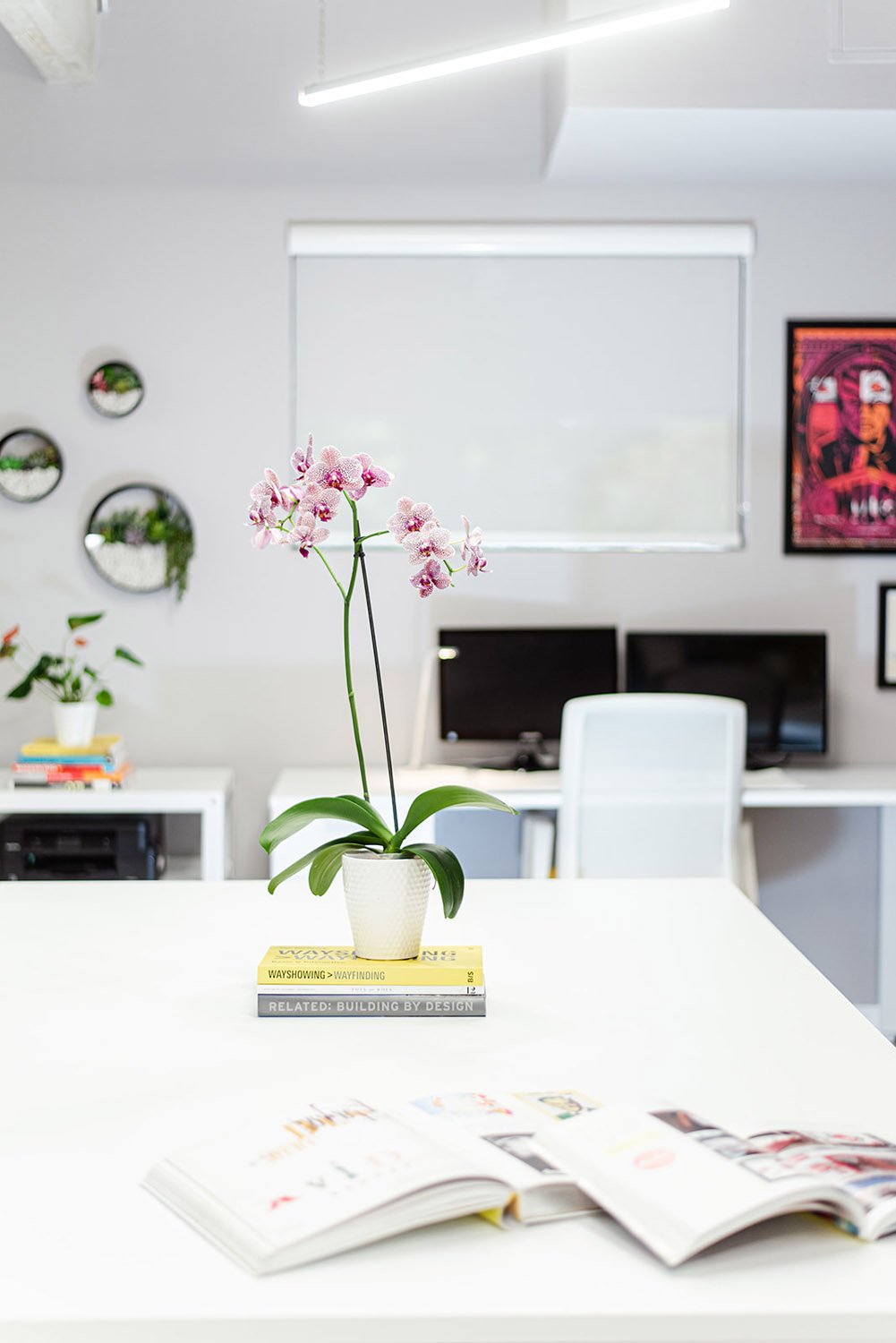 White work table with orchid and magazines in a bright office