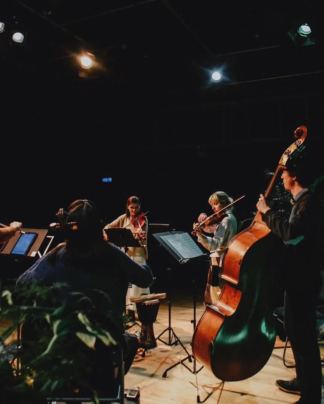 Songs for the Earth/Sinfonia Cymru