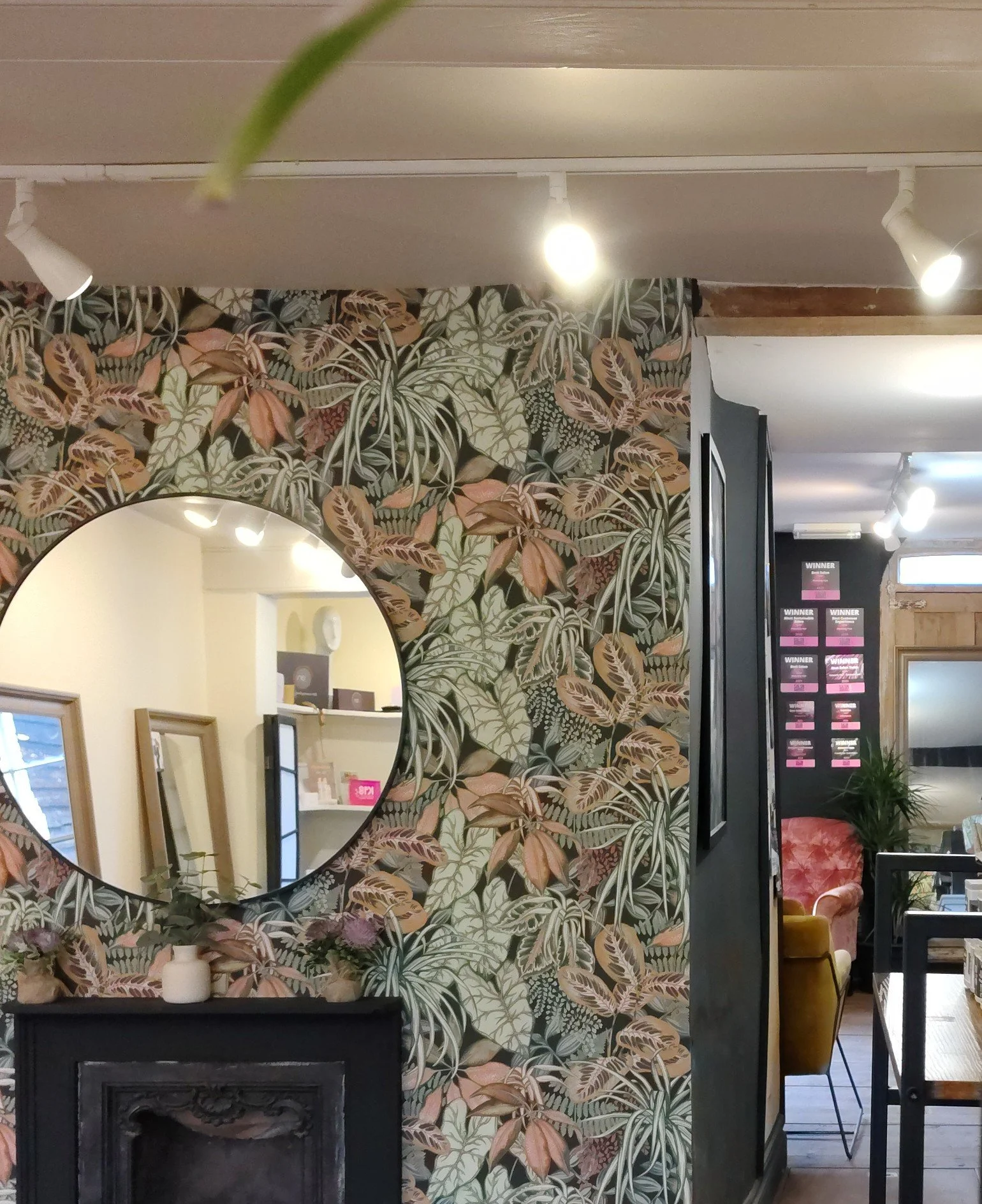 Salon interior with awards wall.jpg