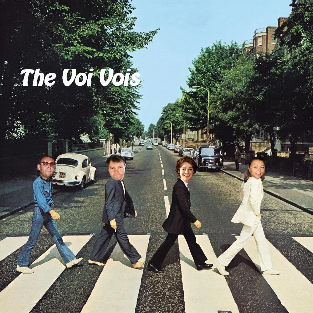  The VoiVois