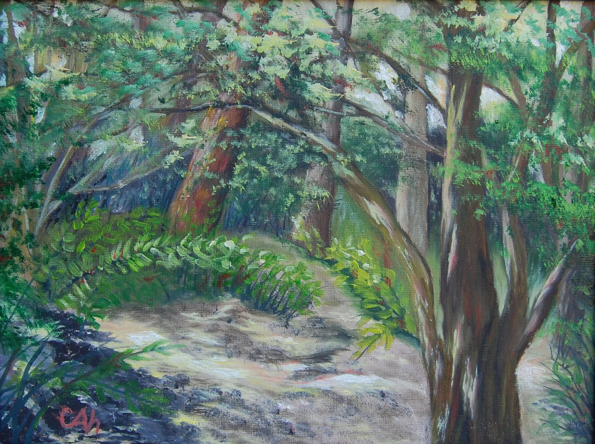 Morning in Hendrie Valley2.jpg