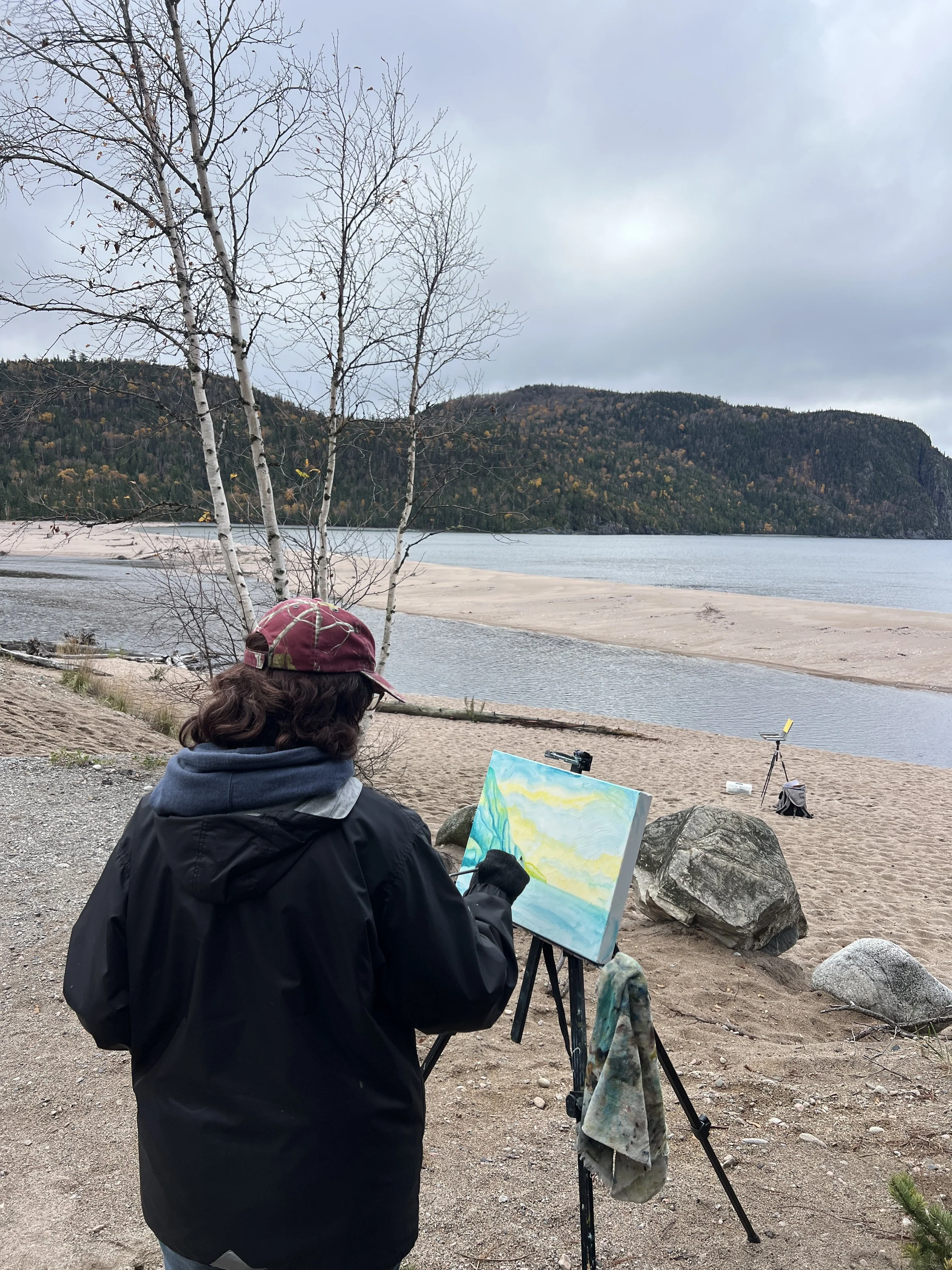 Cheryl-Ann Hills painting at Lake Superior
