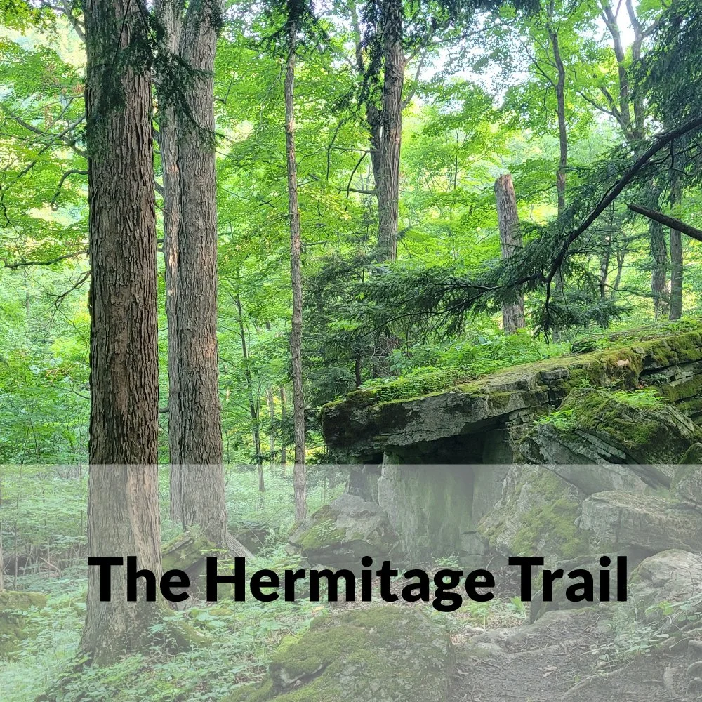Plein Air Art Class at the Hermitage Gatehouse-July