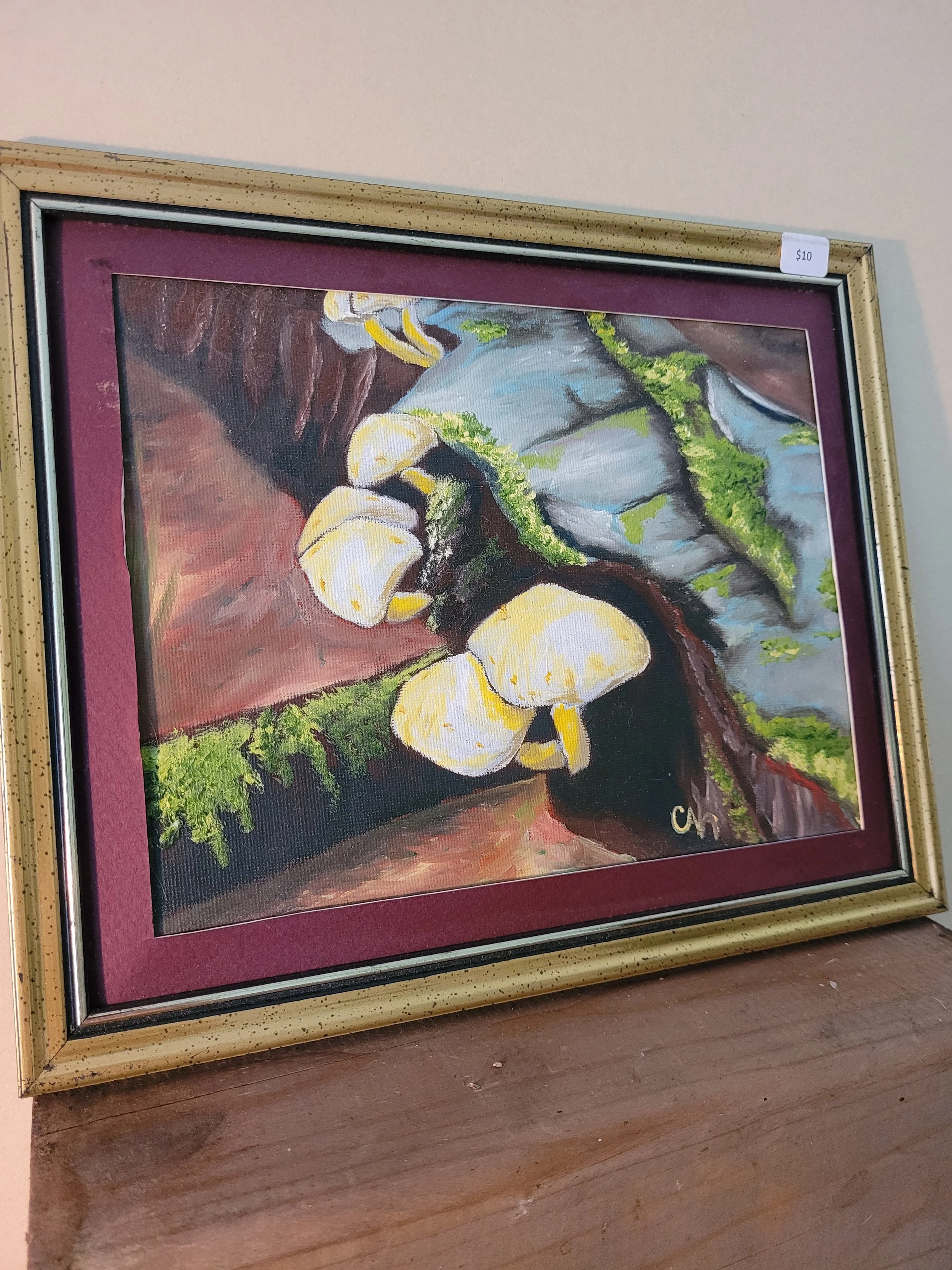 Wild Mushrooms - Original Painting