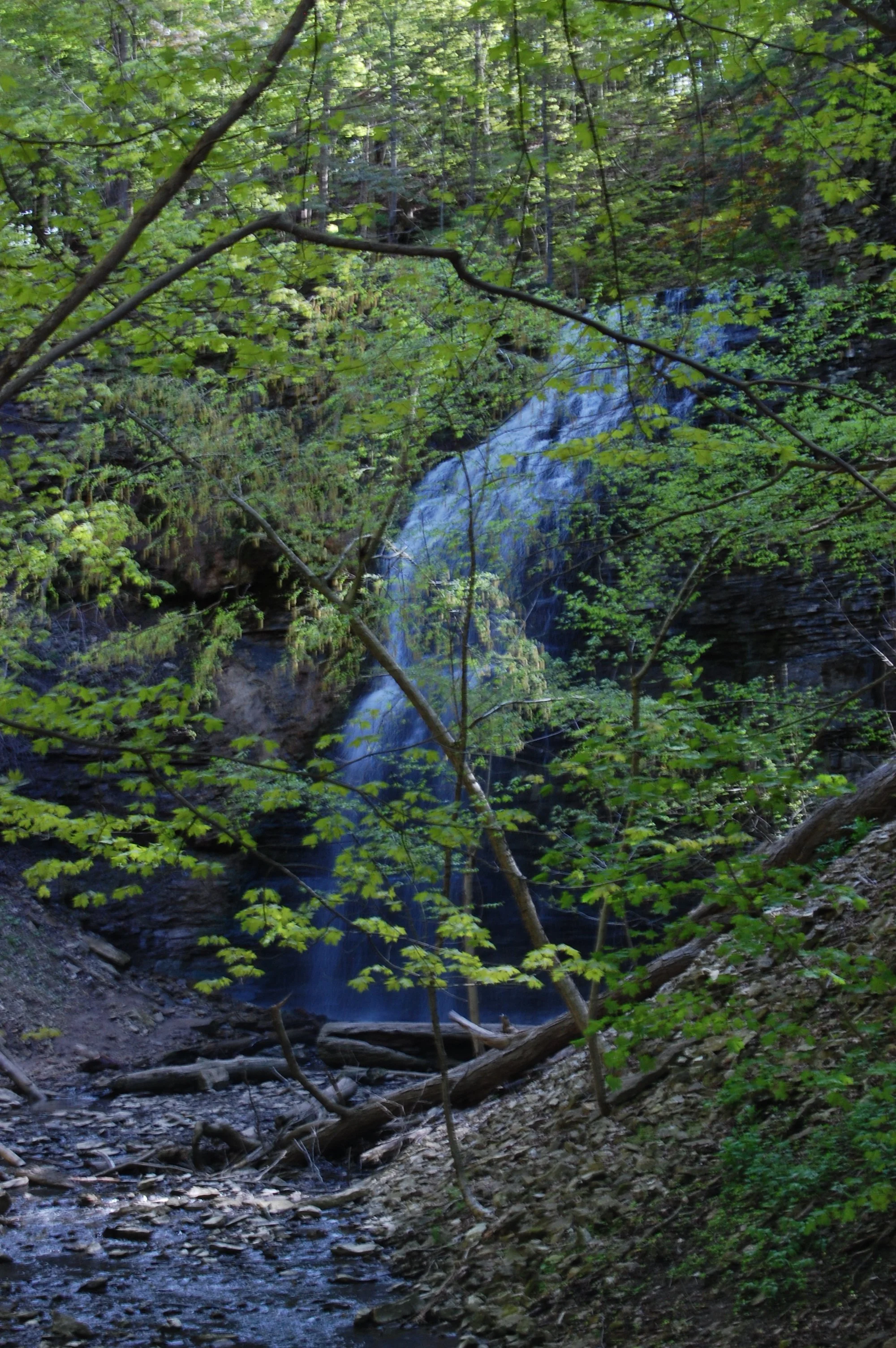 TiffanyFalls.JPG (Copy)