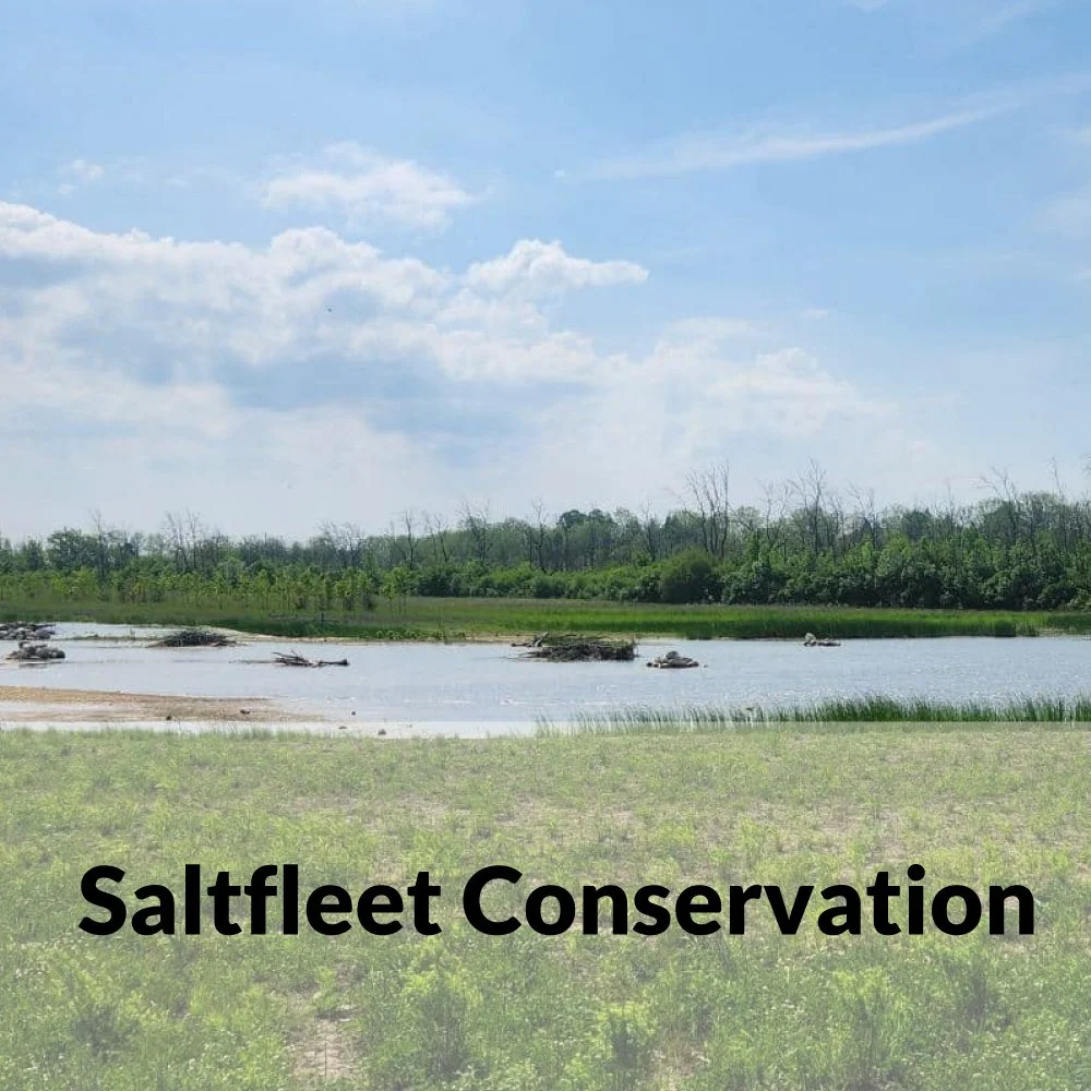 Plein Air Art Class at Saltfleet Wetlands Area