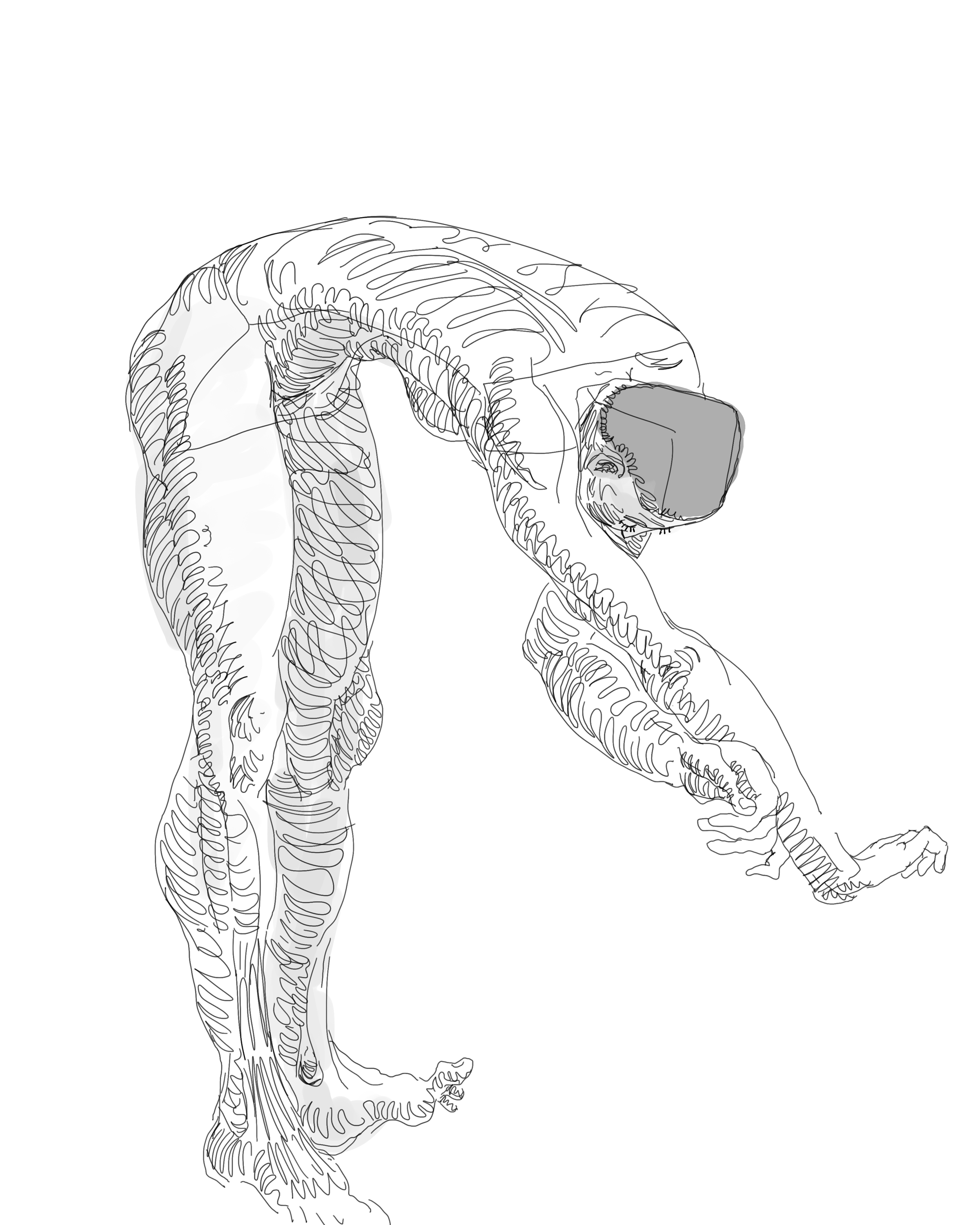 Figure Drawing 5.png