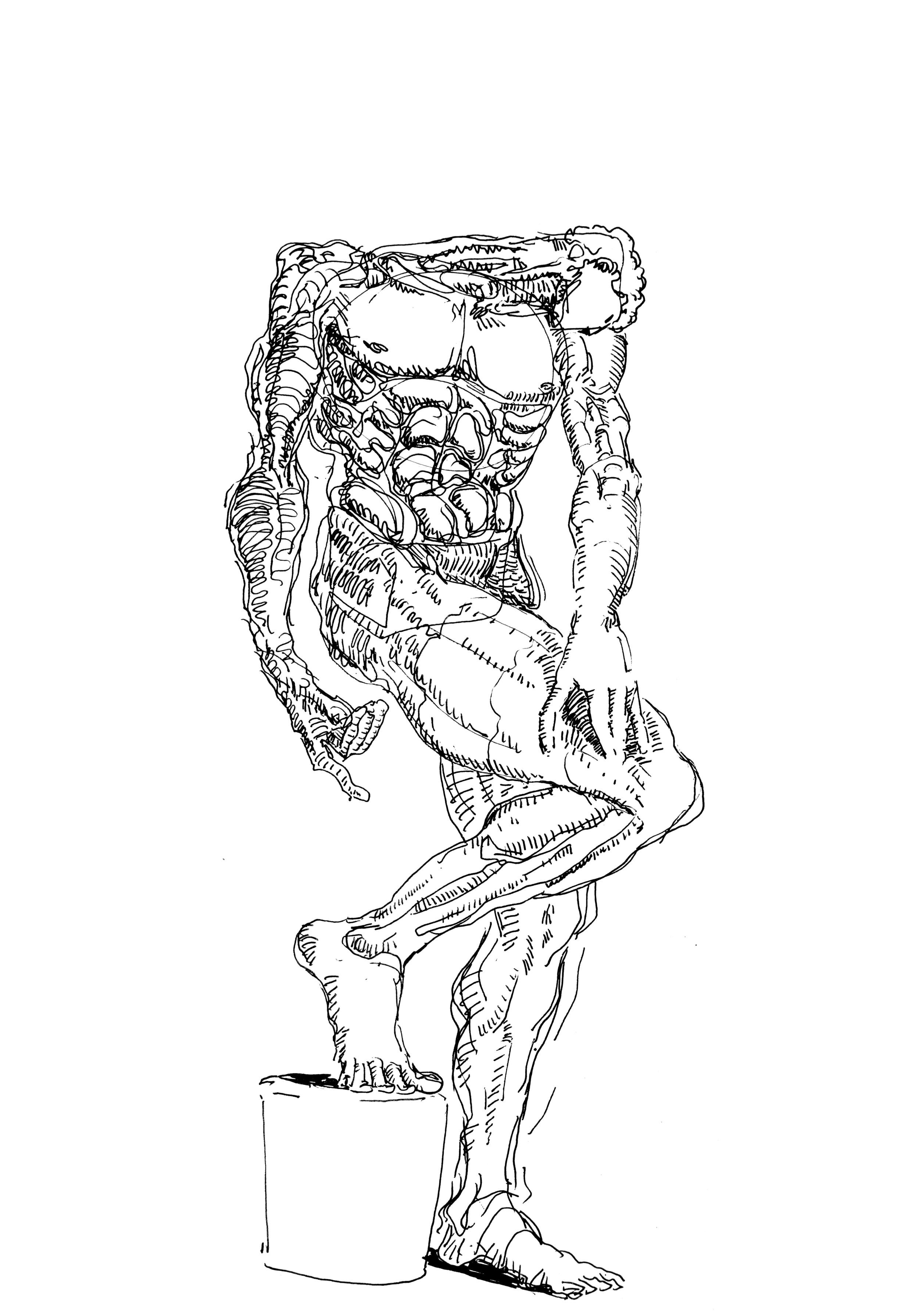 insta adam more centered.png