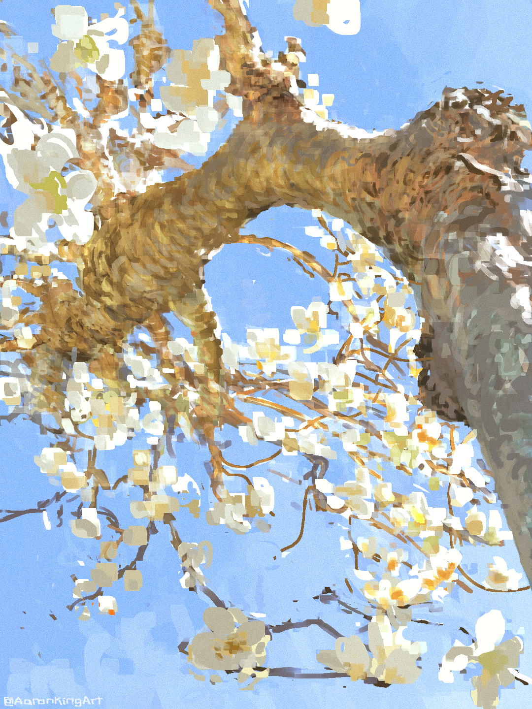 magnolia upload_.png