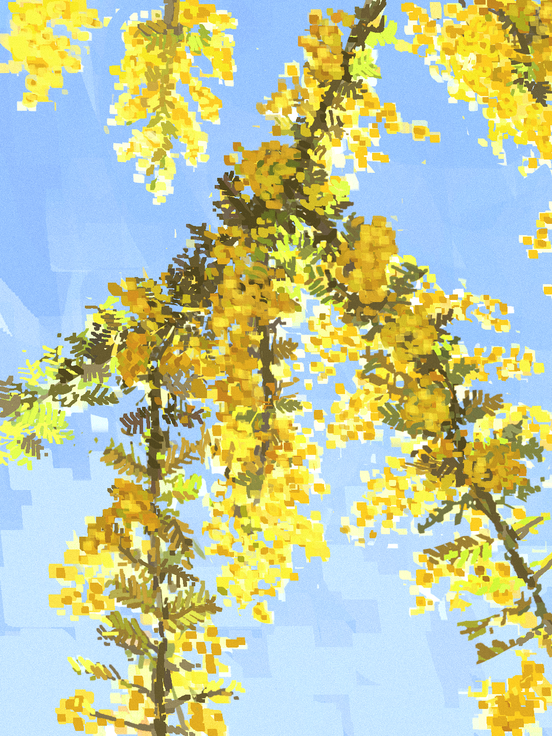 mimosa tree 006_.png