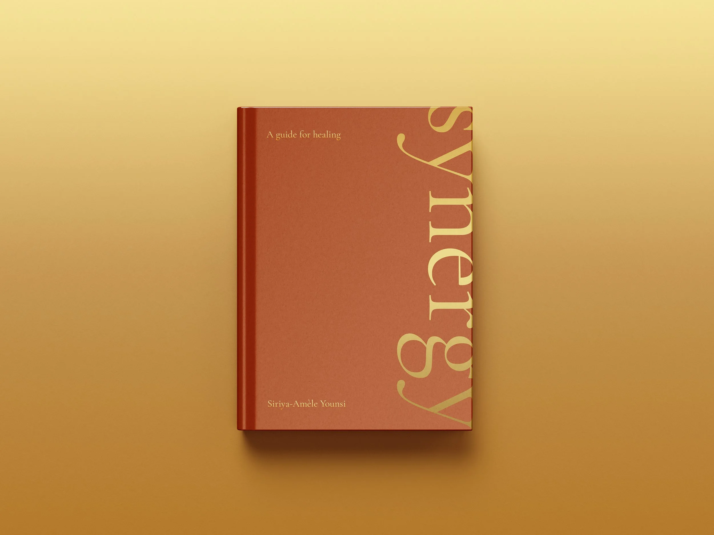 Synergy-Mockup-2.jpg