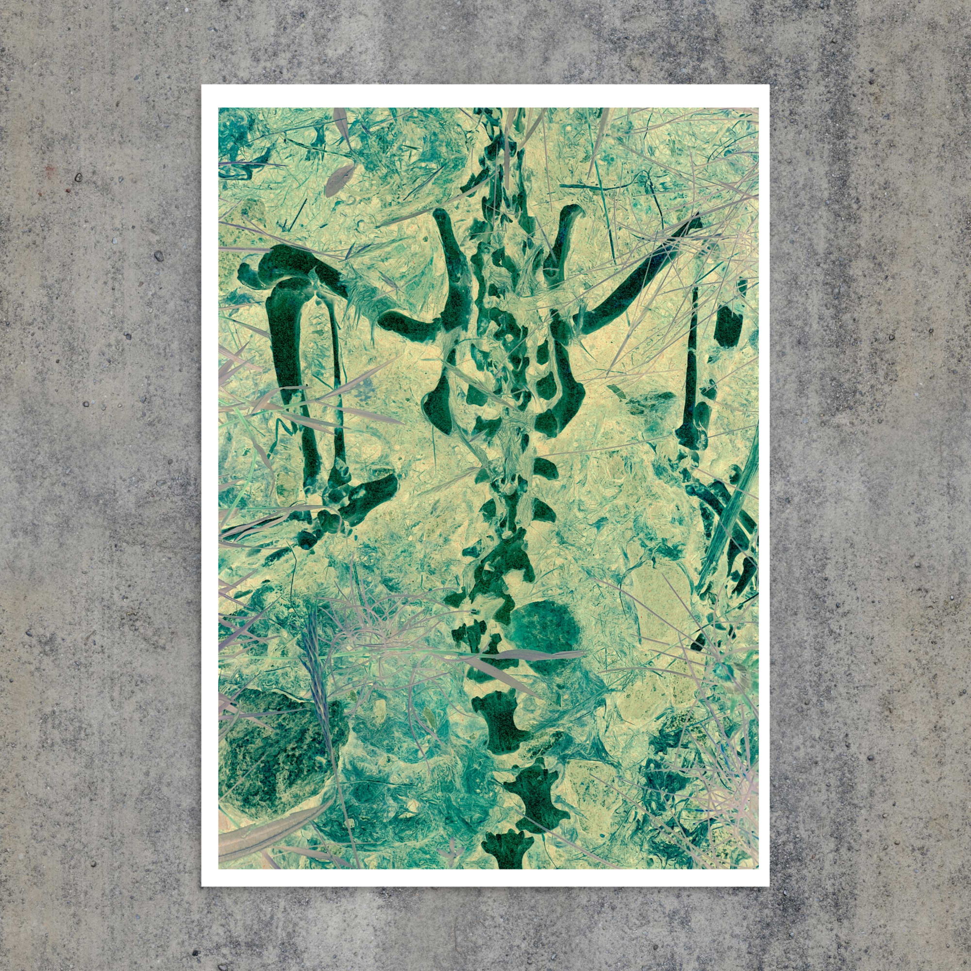 Miscellaneous Skeleton Art Print