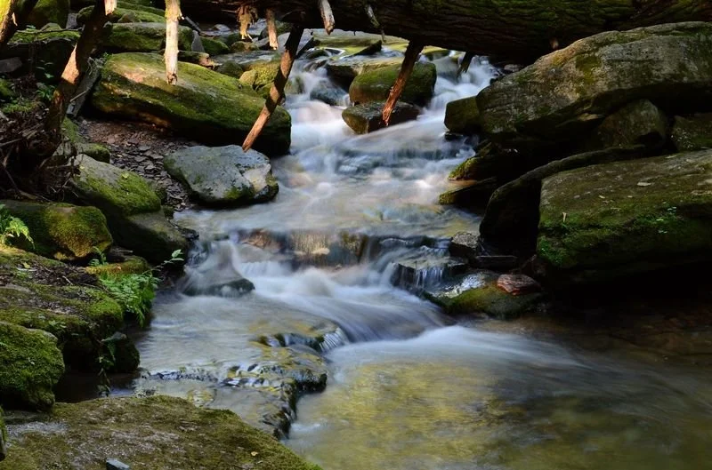 Flowing Stream - Bridal Falls Allegany State Park NY