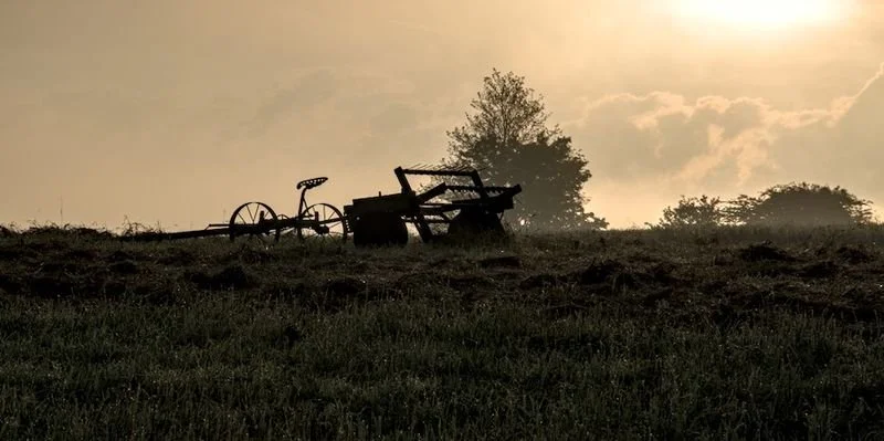 Haymaker at Sunrise - Randolph NY