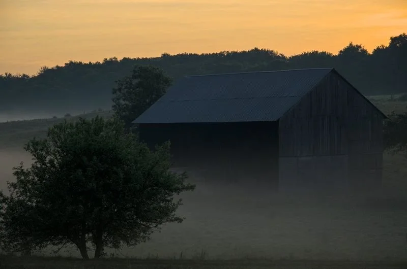 Early Morning Fog - Randolph NY