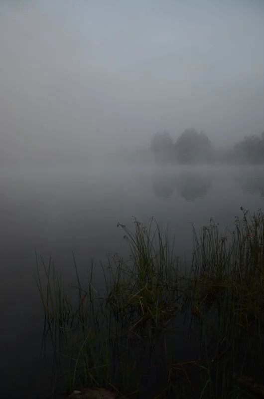 Misty Morning Fog - Allegany State Park NY