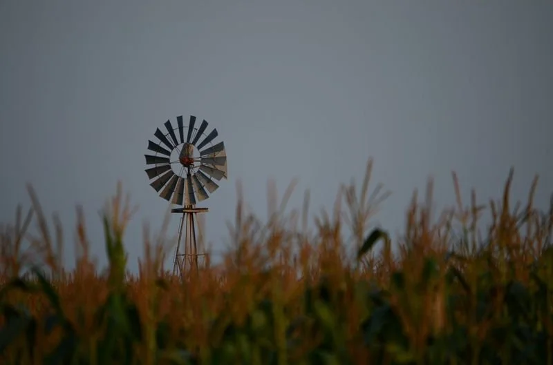 Windmill Through the Field - Randolph NY