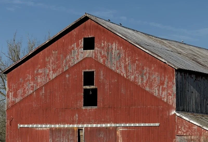 3 Birds and 3 Windows on Barn - Randolph NY