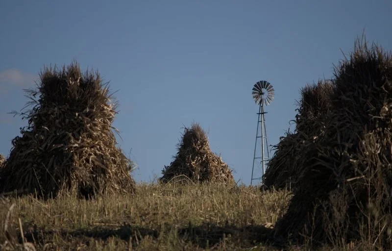 Windmill through the Haystacks - Randolph NY