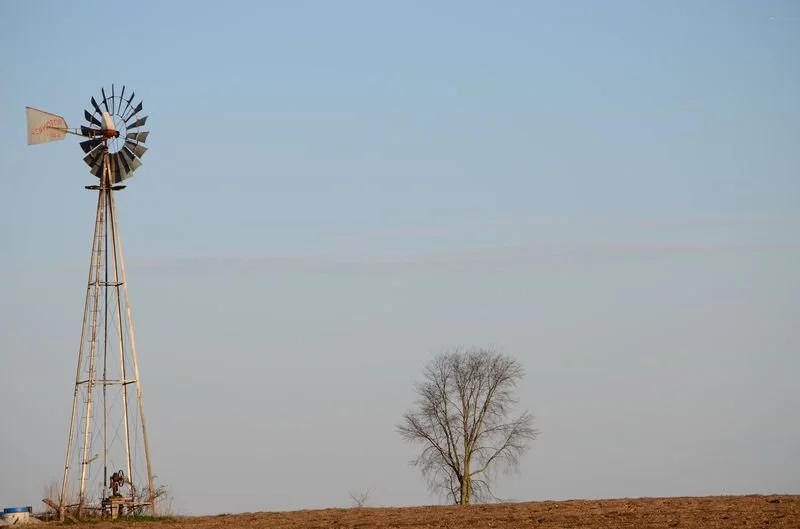 Windmill and a tree - Randolph NY