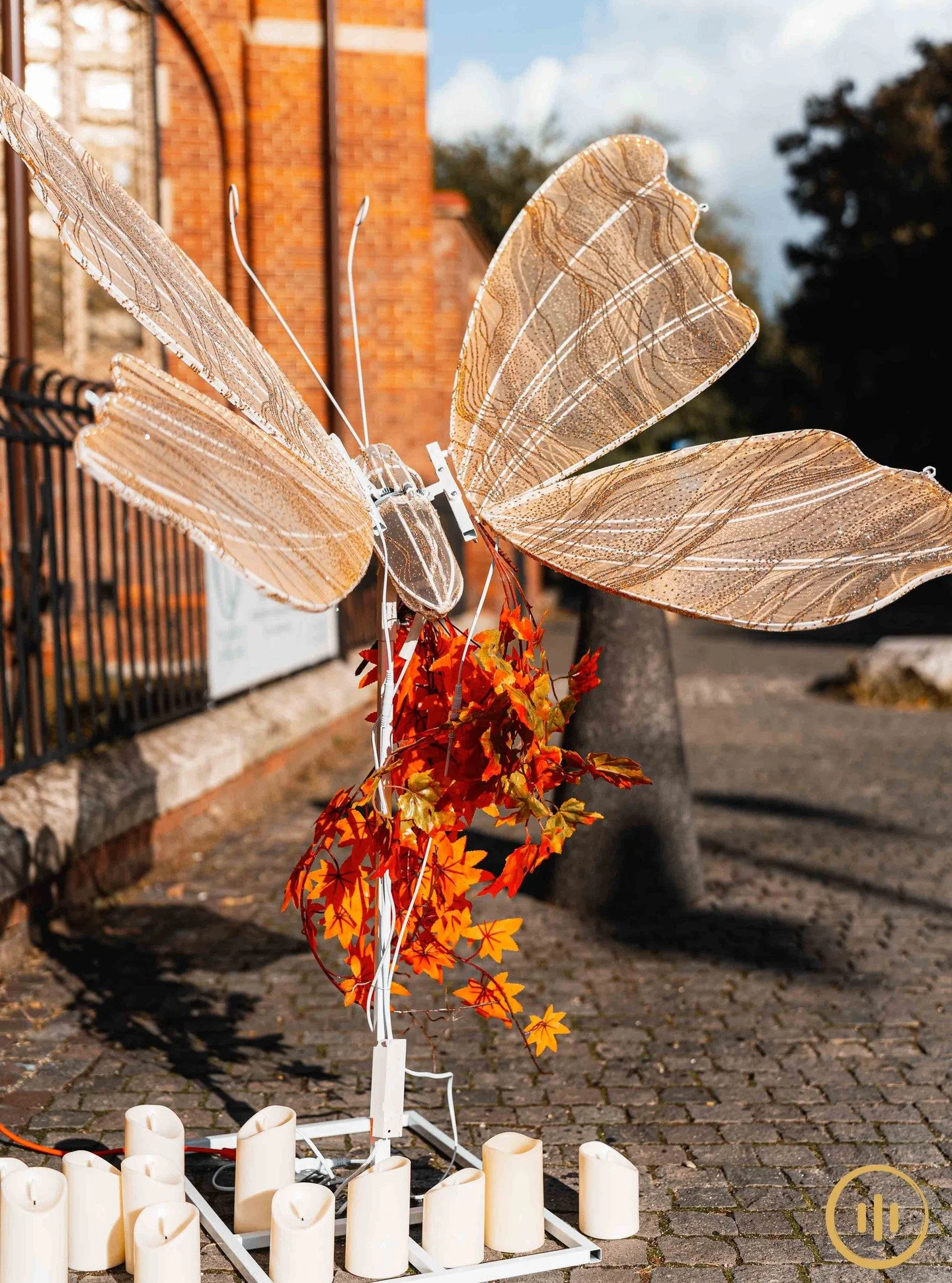 Between autumn light and candle glow, even butterflies pause for the music.