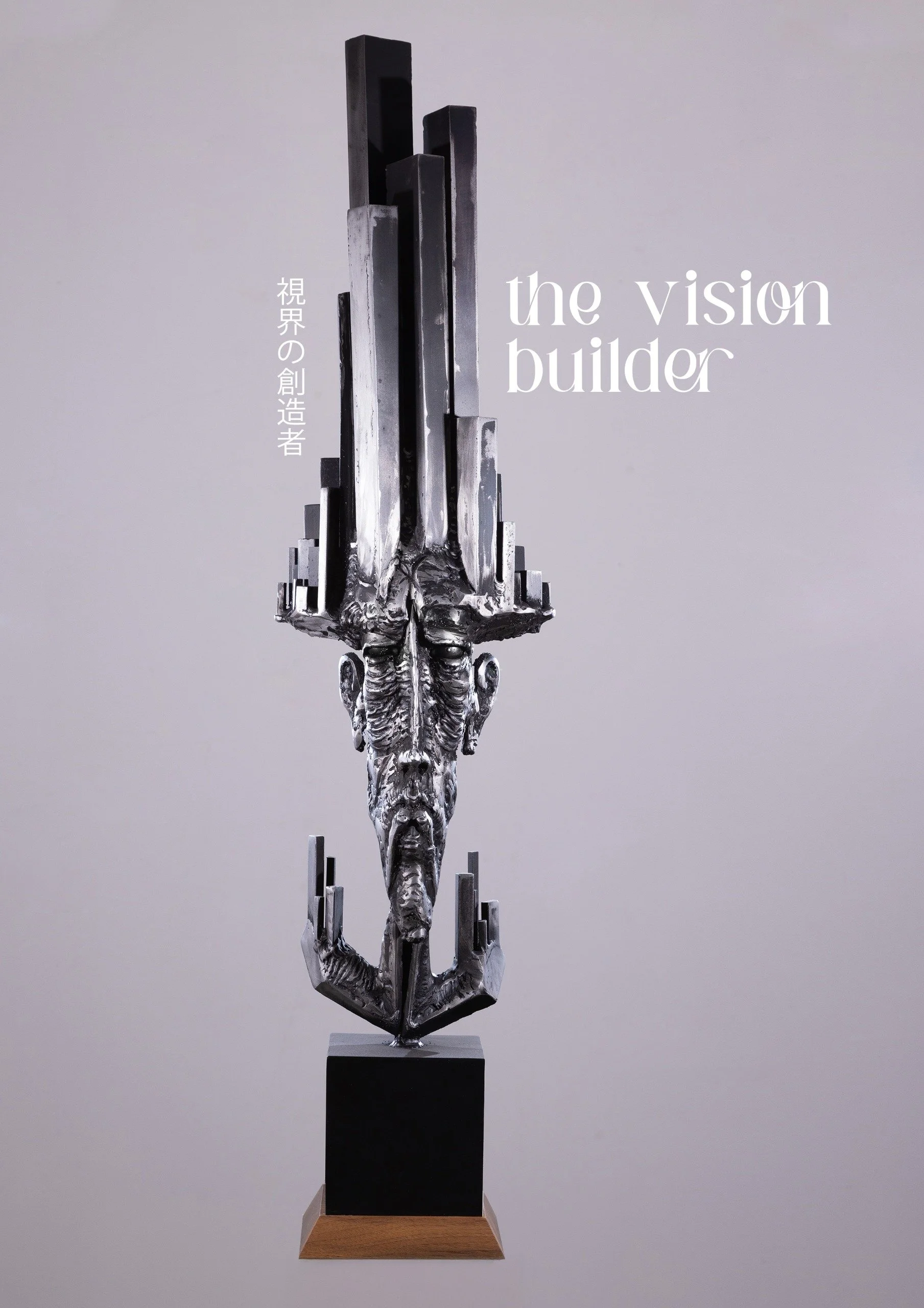 the vision builder - daniel radulescu