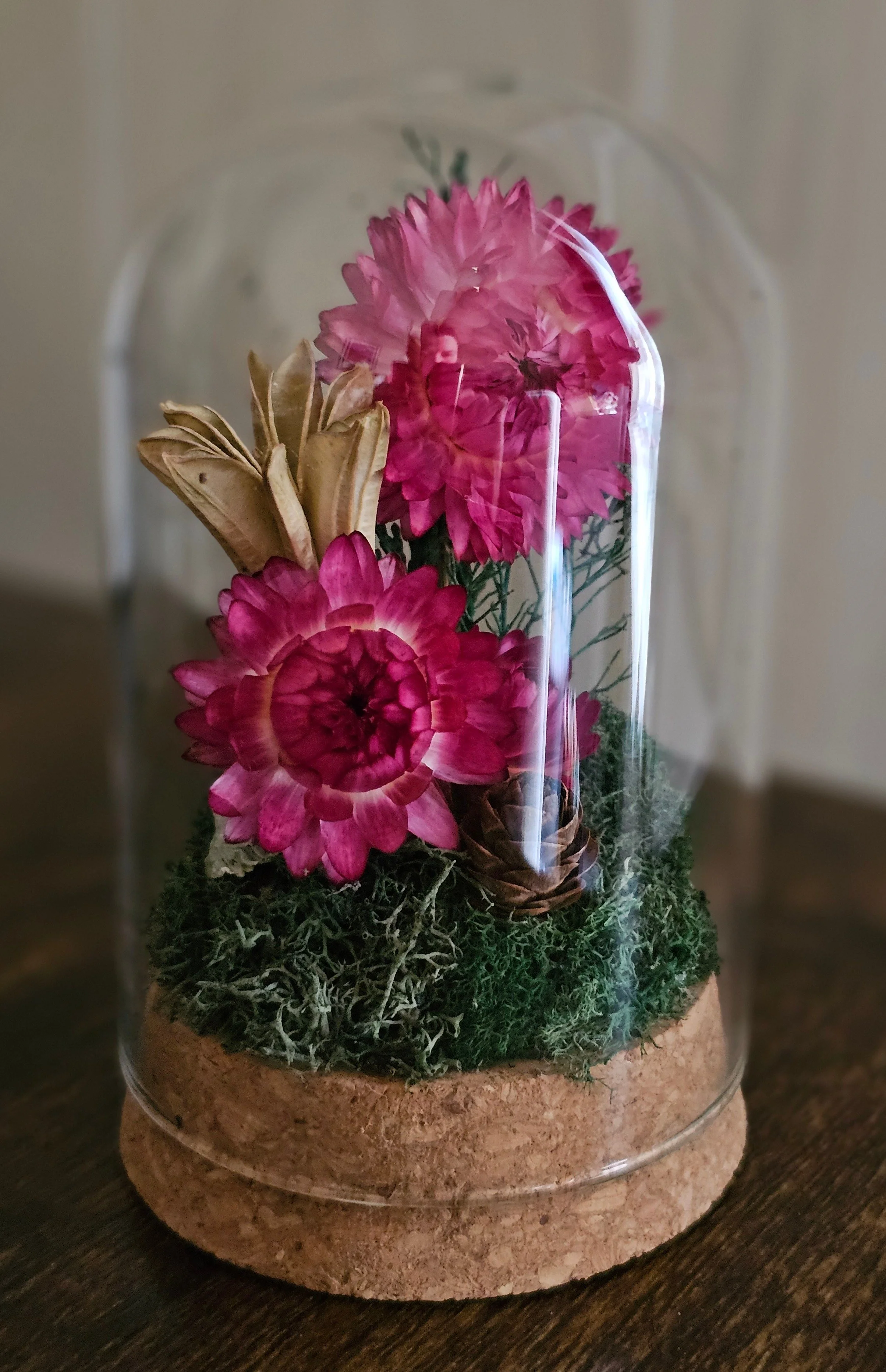 Large Botanical Glass Terrarium Jar W. Pink Dried Florals