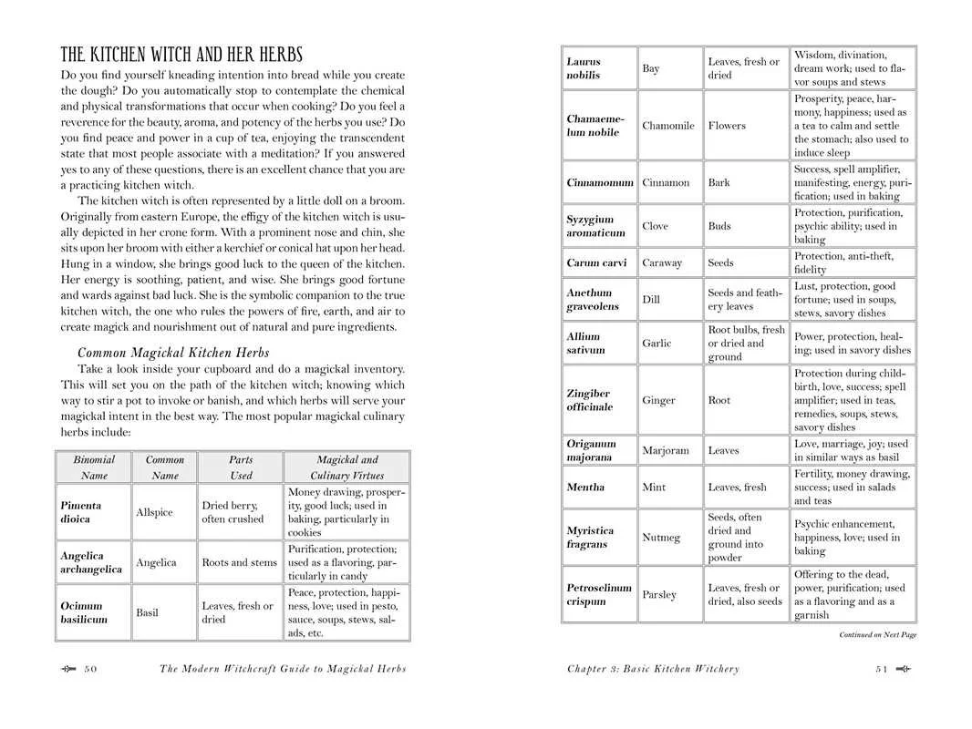 kitchenwitchherbbook.jpeg