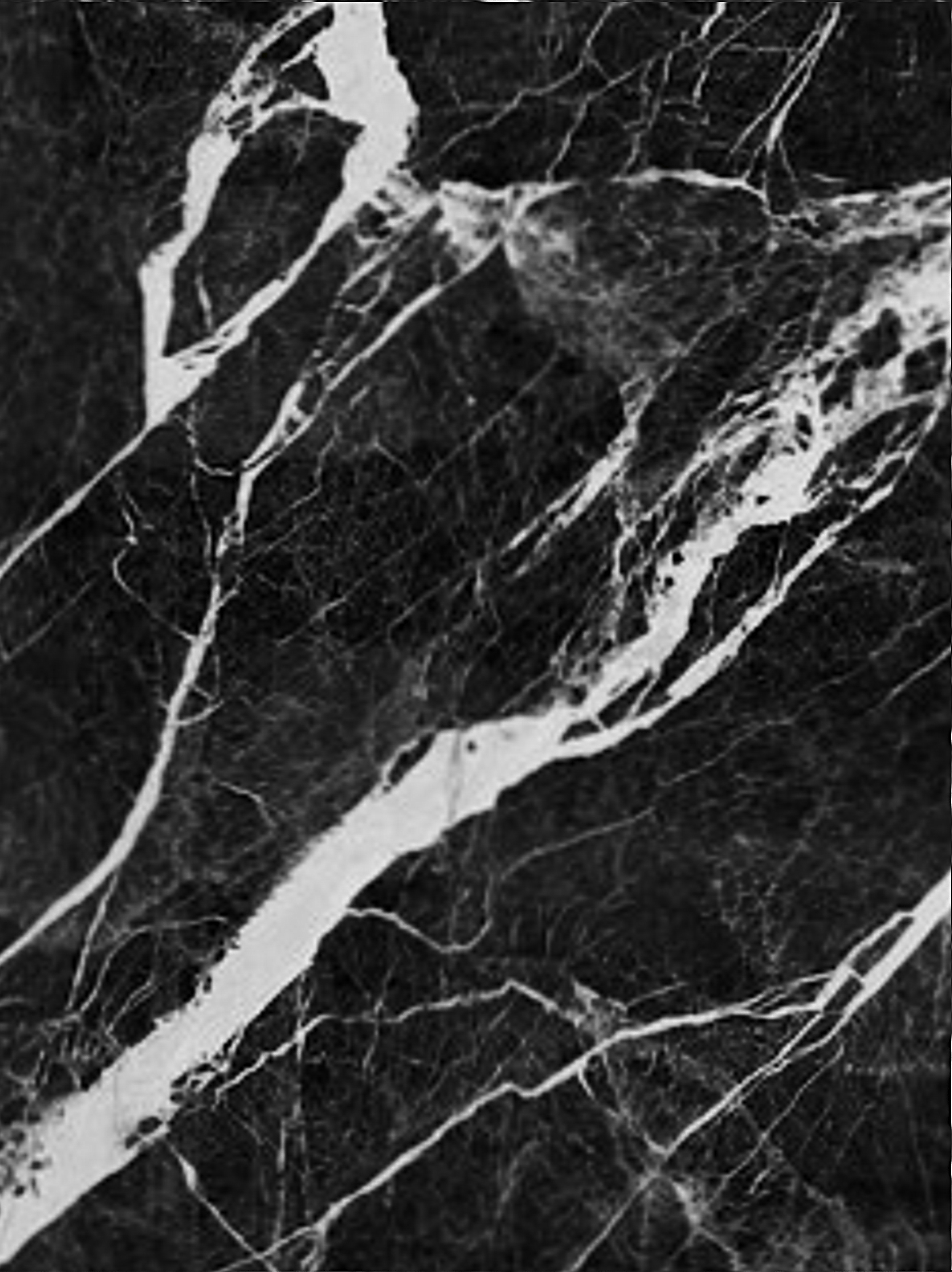 Mont Blanc K5641 Polished Zoom 4.png