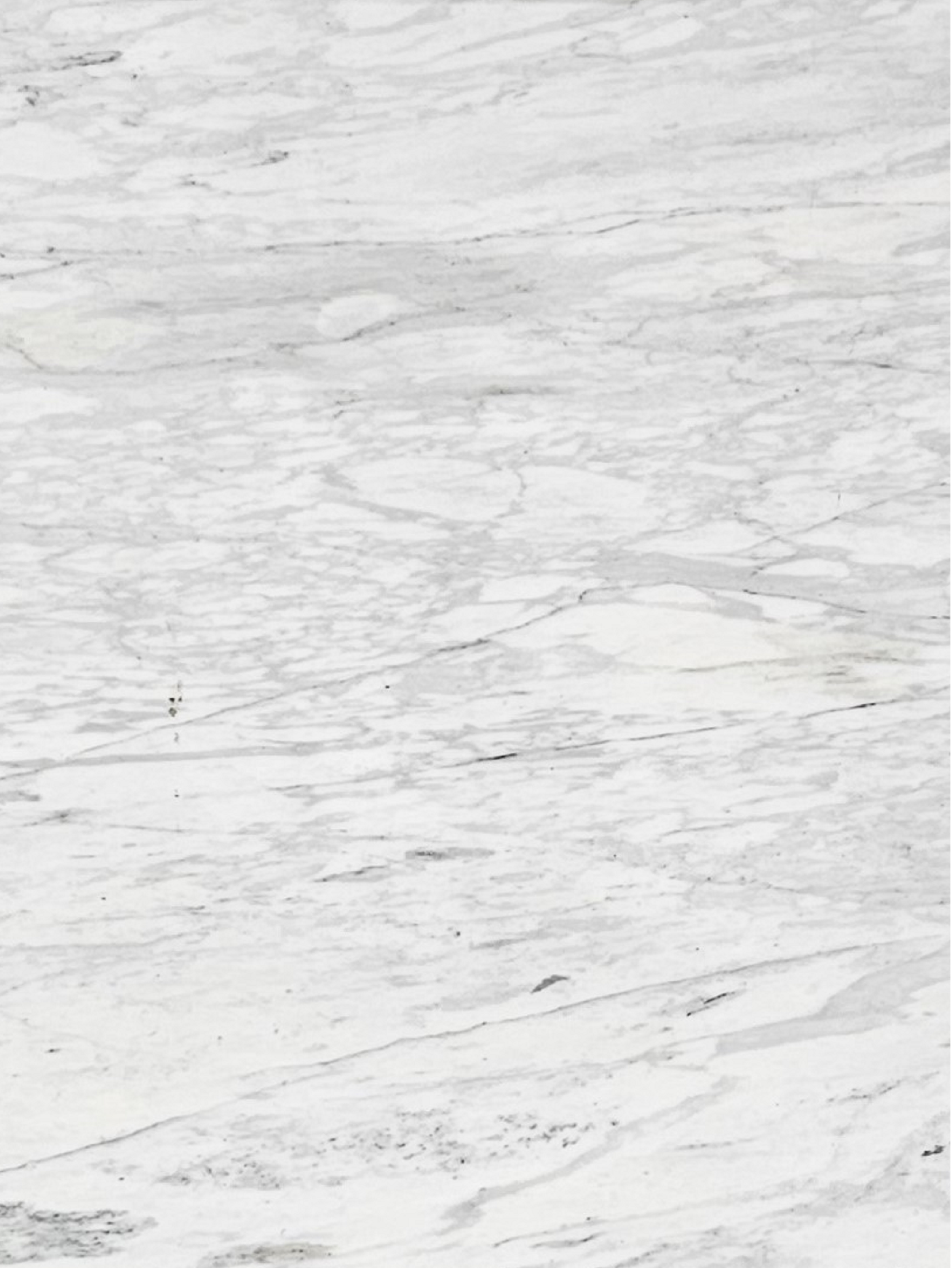 Calacatta Arabescato KY1217 Honed Zoom 3.png