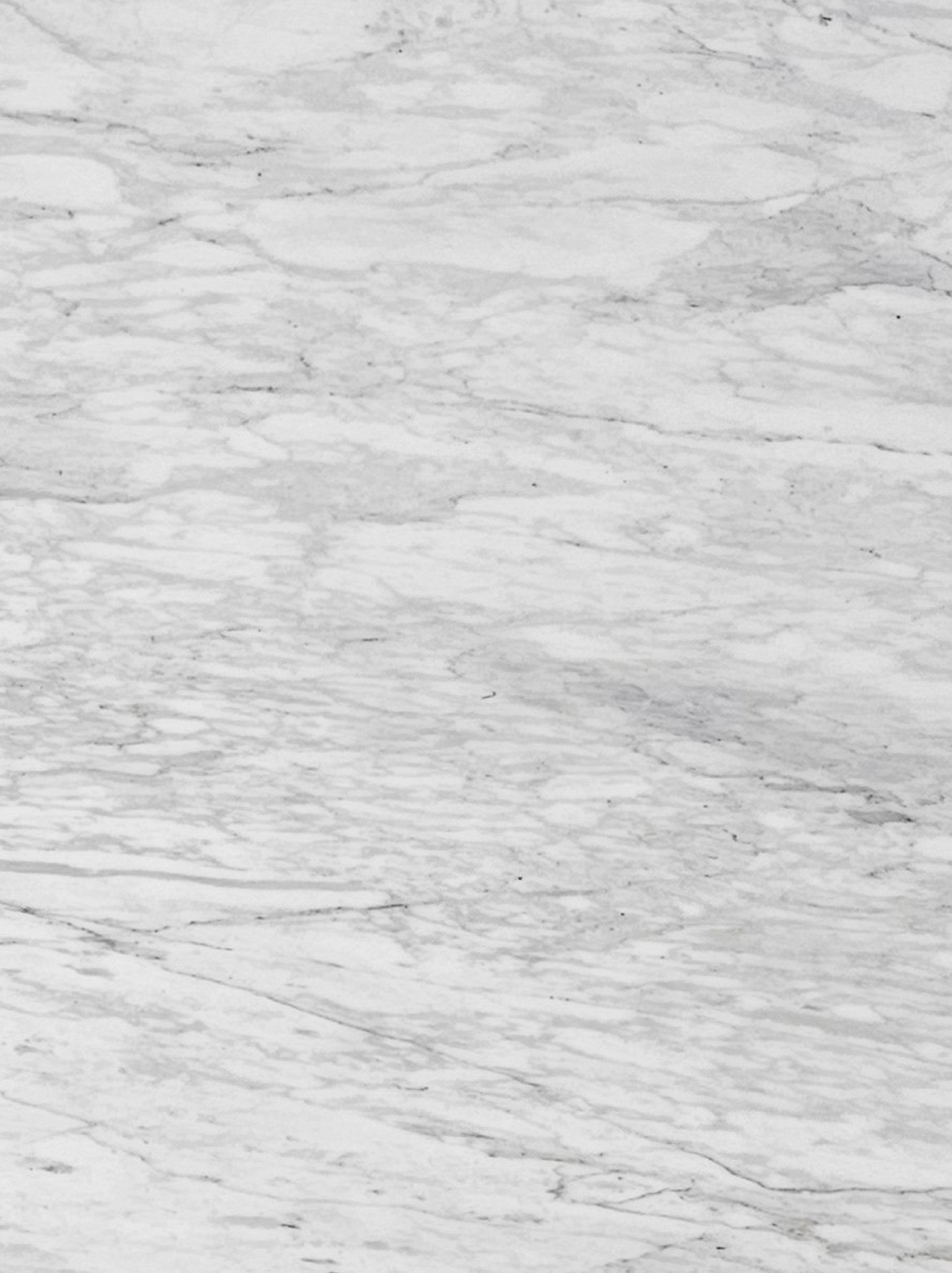 Calacatta Arabescato KY1217 Honed Zoom 1.png