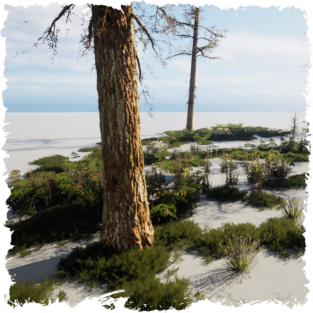 Vegetation Collection